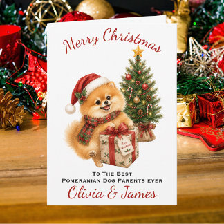 Weihnachtskarte für Eltern eines Pomeranian-Hundes Karte