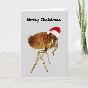 Weihnachtskarte für Haustiere Feiertagskarte