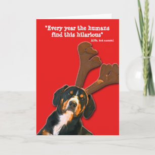 Weihnachtskarte für Hunde - Die Menschen finden da Feiertagskarte