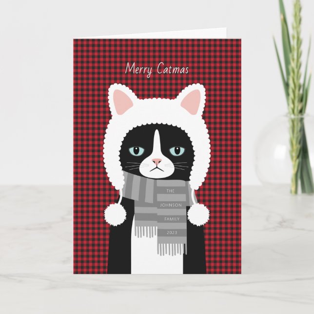 Weihnachtskarte für Katzen Feiertagskarte (Vorderseite)