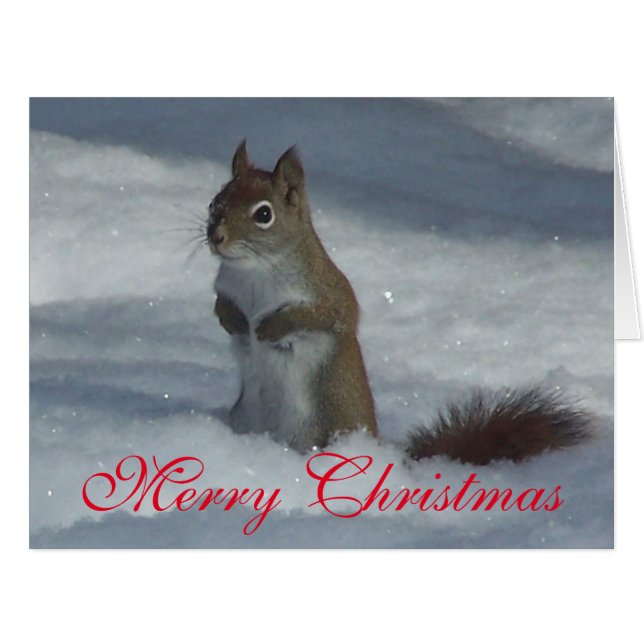Weihnachtskarte für Red Squirrel (Vorderseite (Horizontal))