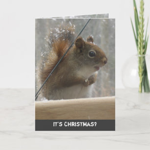 Weihnachtskarte für Red Squirrel Feiertagskarte