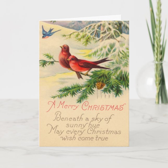 Weihnachtskarte für Vögel und Kiefern Feiertagskarte (Vorderseite)