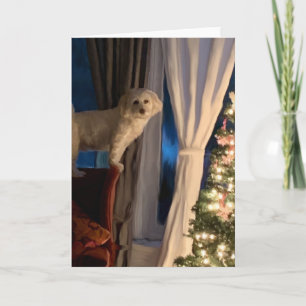 Weihnachtskarte - Gewartet für die Weihnachtsfeier Karte