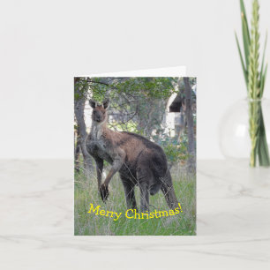 Weihnachtskarte - Känguru Karte