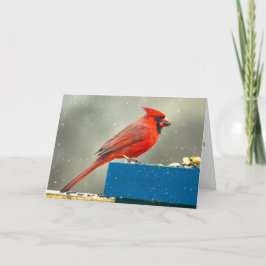 Weihnachtskarte Kardinal Feiertagskarte