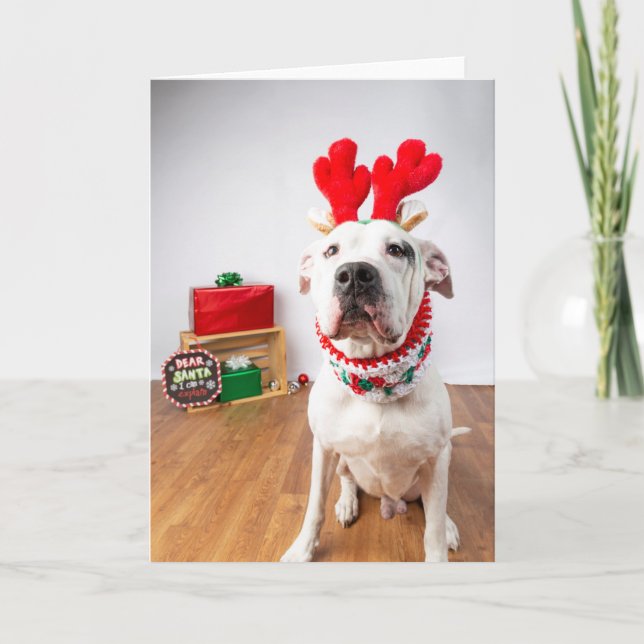 Weihnachtskarte Karte (Vorderseite)