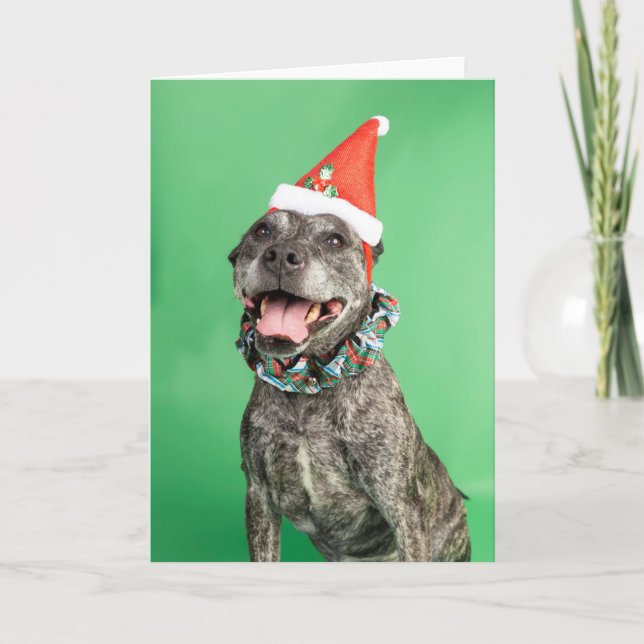 Weihnachtskarte Karte (Vorderseite)