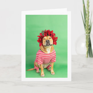 Weihnachtskarte Karte