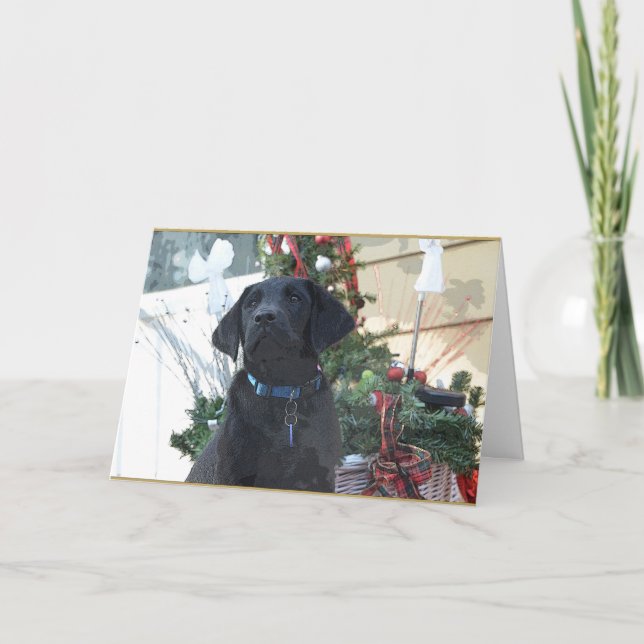 Weihnachtskarte ~ Labrador Retriever Feiertagskarte (Vorderseite)
