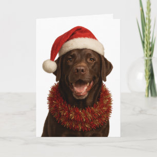 Weihnachtskarte mit Chocolate Labrador Retriever H Karte