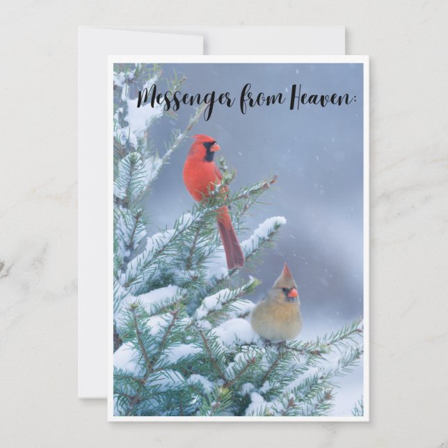 Weihnachtskarte mit einem roten Kardinal Feiertagskarte (Vorderseite)