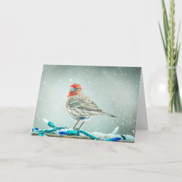 Weihnachtskarte mit Hausfink Feiertagskarte