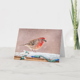 Weihnachtskarte mit Hausfink mit Samen Feiertagskarte