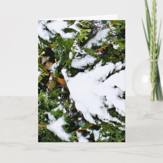 Weihnachtskarte mit Schnee auf Zweigen Karte (Vorderseite)