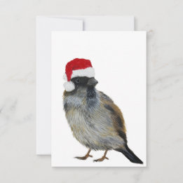 Weihnachtskarte mit Vogel mit Santa-Hut Dankeskarte