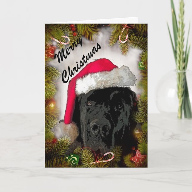 Weihnachtskarte ~ Neufundland-Hund Feiertagskarte (Vorderseite)