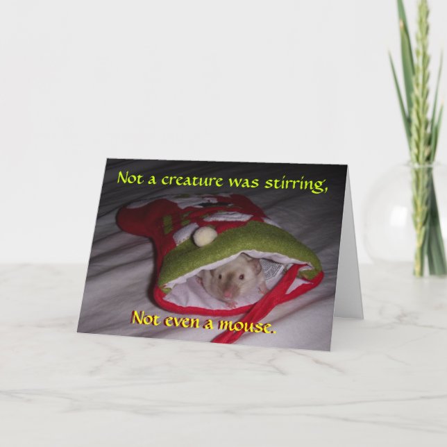 Weihnachtskarte: Nicht einmal eine Maus Feiertagskarte (Vorderseite)