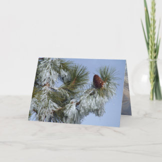 Weihnachtskarte - Pinecone Feiertagskarte
