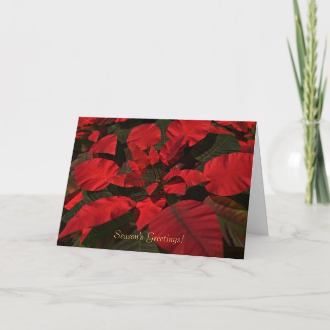 Weihnachtskarte "Poinsettia" Feiertagskarte (Vorderseite)