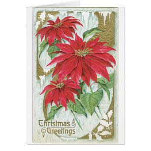 Weihnachtskarte Poinsettia Rote Blume Weihnachten