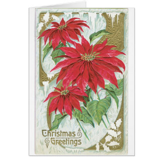 Weihnachtskarte Poinsettia Rote Blume Weihnachten