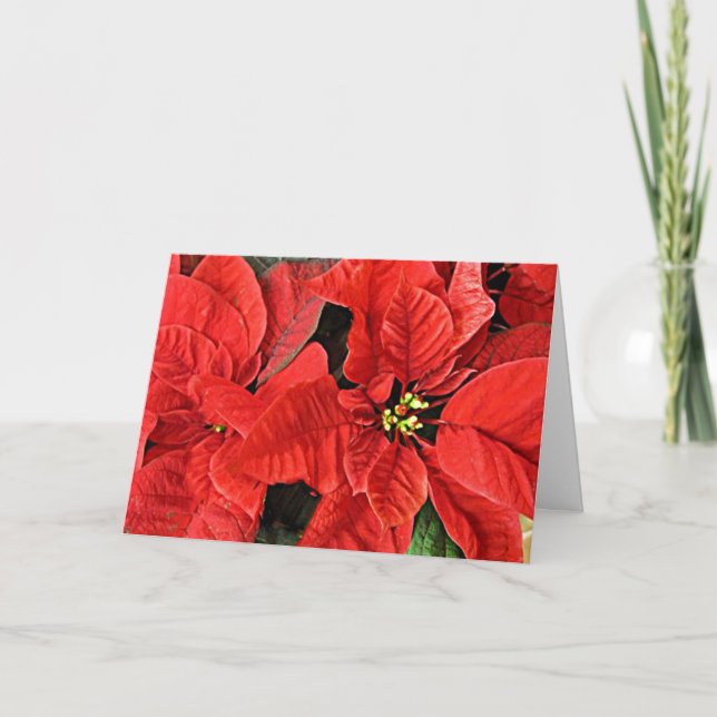 Weihnachtskarte Rote Poinsettias Feiertagskarte (Vorderseite)