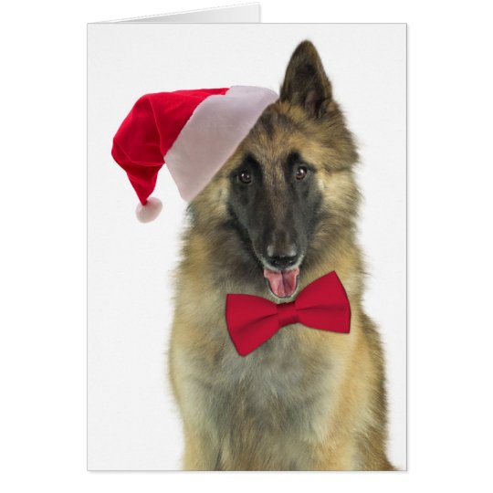 Weihnachtskarte Sankt Tervuren Karte