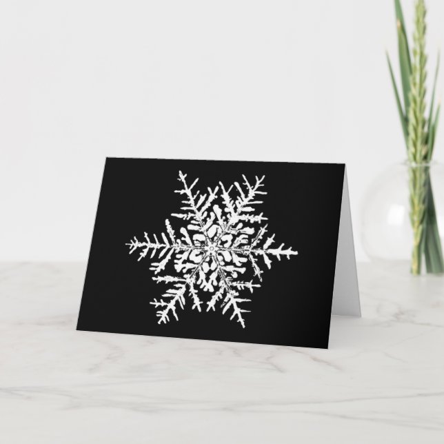 Weihnachtskarte Schneeflocke-Wilson-Bentley Feiertagskarte (Vorderseite)