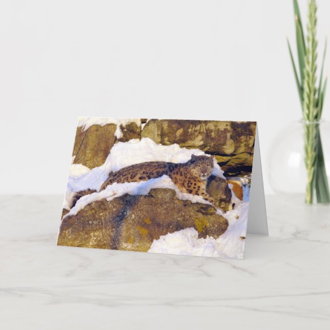 Weihnachtskarte Schneeleopard Feiertagskarte (Vorderseite)