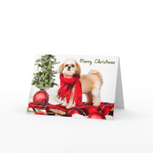 Weihnachtskarte Shih Tzu (befestigter Mantel)