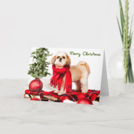 Weihnachtskarte Shih Tzu (befestigter Mantel) Feiertagskarte