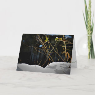 Weihnachtskarte "Unseen Minnesnowta" Karte