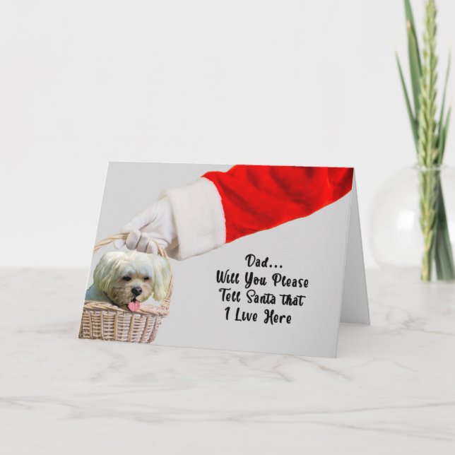 Weihnachtskarte von Hund und Weihnachtsmann Karte (Vorderseite)