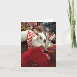 Weihnachtskarte, Weihnachtsbunny Jos Hot Mess Card Karte