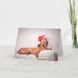Weihnachtskarte / Weihnachtskarte "Magyar Vizsla" Feiertagskarte