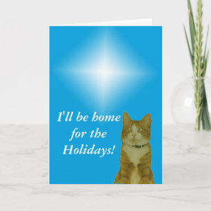 Weihnachtskarte - Weihnachtsstern und Katze Feiertagskarte