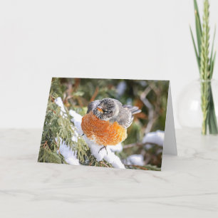 Weihnachtskarte Winter-Rotkehlchen Feiertagskarte