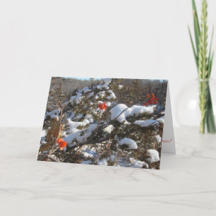 Weihnachtskarte "Winterblüten" Karte