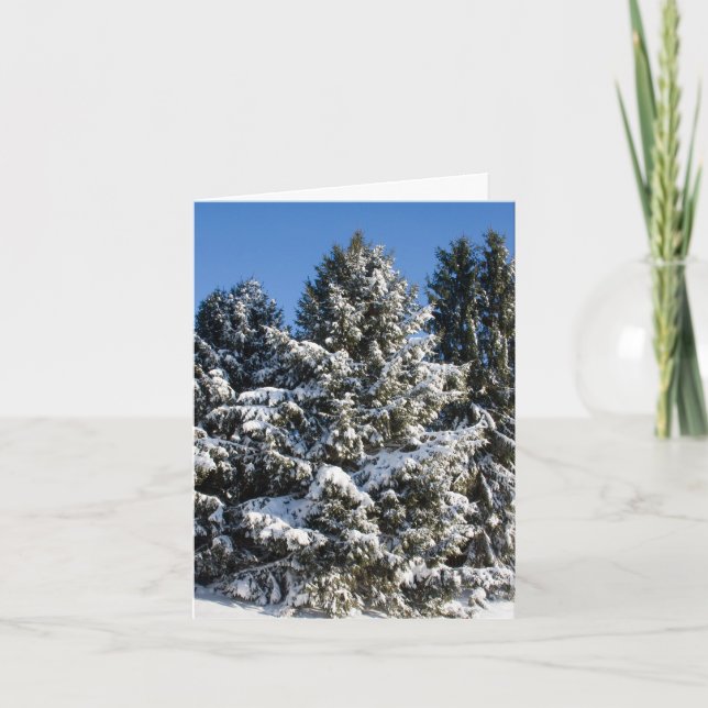 Weihnachtskarten für Landschaften Feiertagskarte (Vorderseite)