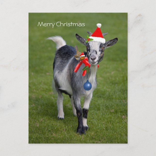 Weihnachtskarten Postkarte (Vorderseite)