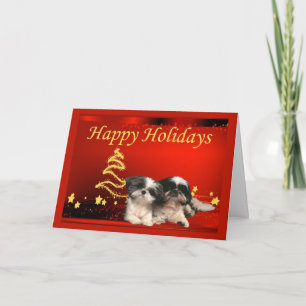 Weihnachtskarten-Sterne Shih Tzu Feiertagskarte
