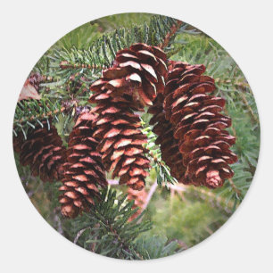 Weihnachtskarten-Umschlag Aufkleber