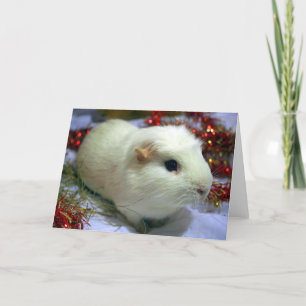 Weihnachtskartenmeerschweinchen Feiertagskarte