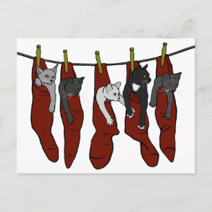 Weihnachtskätzchen Chatons de Nöel Postcard Postkarte