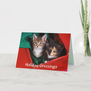 Weihnachtskätzchen Feiertagskarte