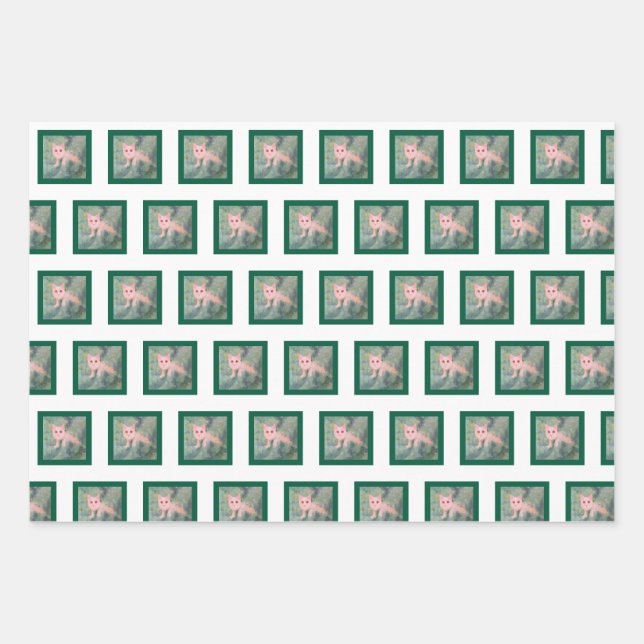 Weihnachtskätzchen Geschenkpapier Set (Vorderseite)