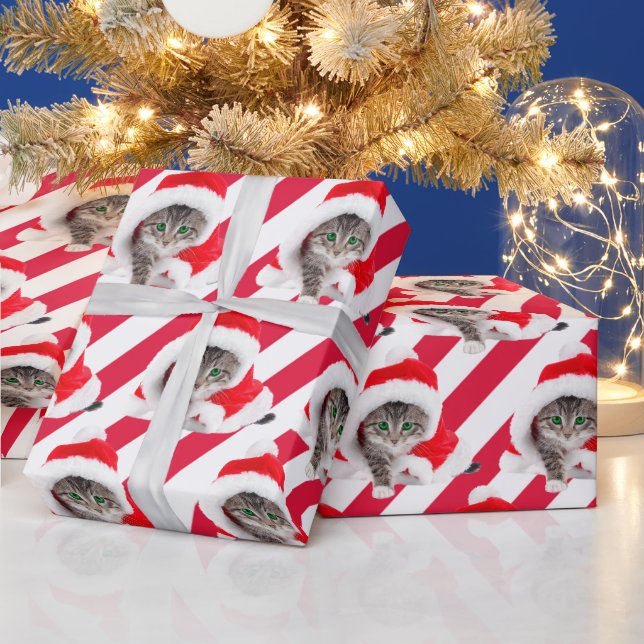 Weihnachtskätzchen in Hut auf Streifen Geschenkpapier (Feiertage)