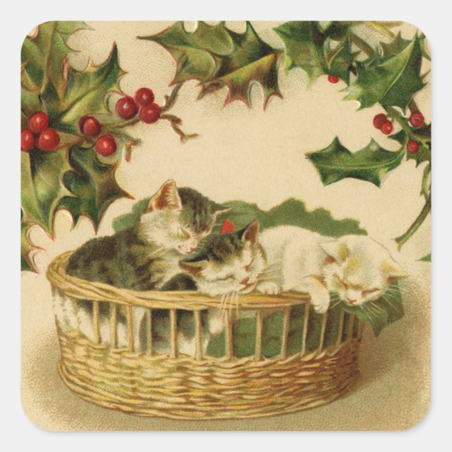 Weihnachtskätzchen und Holly-Aufkleber Quadratischer Aufkleber (Vorderseite)