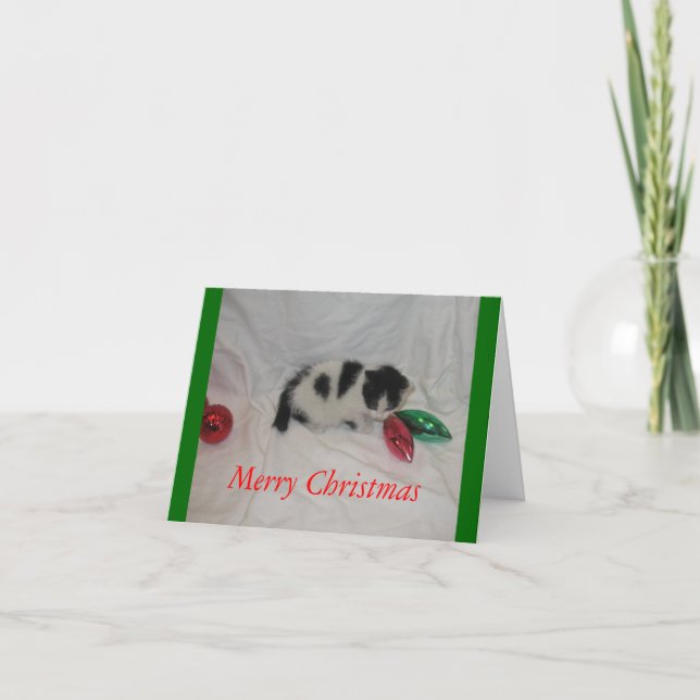 Weihnachtskätzchenkarte Feiertagskarte (Vorderseite)